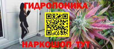мескалин Заводоуковск