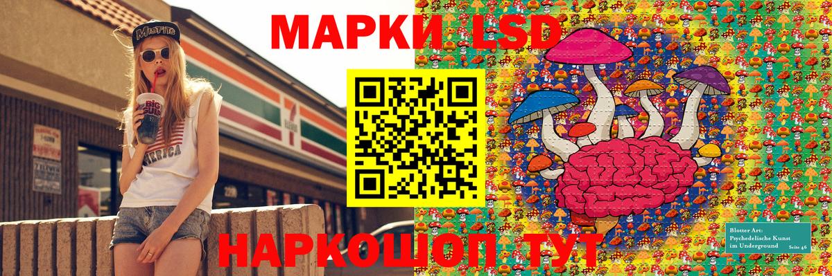 МЕФ Ливны