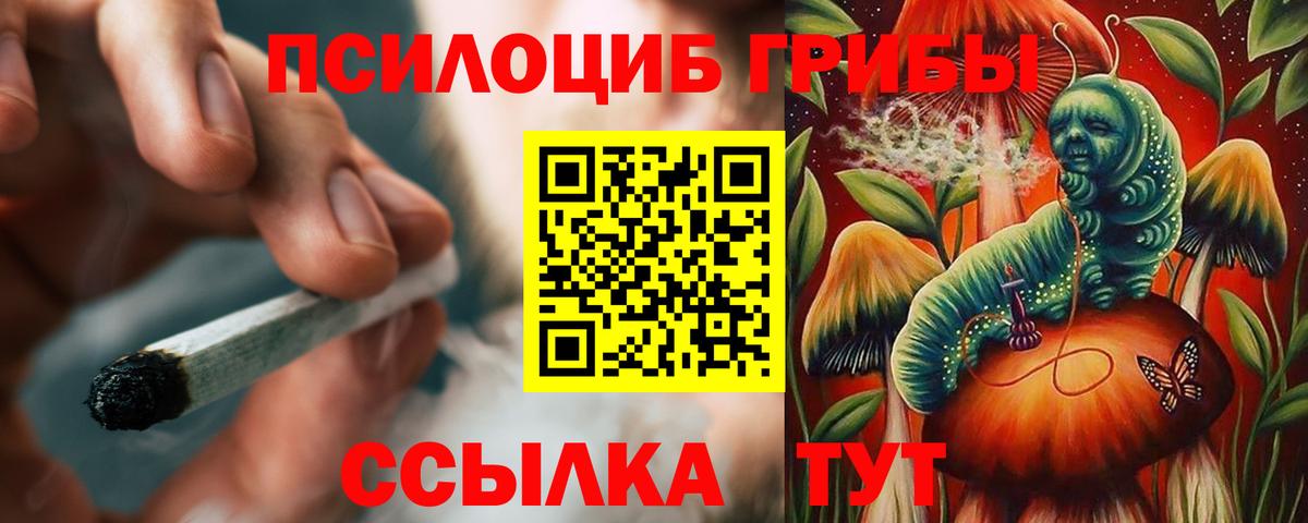 Псилоцибиновые грибы MAGIC MUSHROOMS  Вход с VPN  сколько стоит  Ливны 