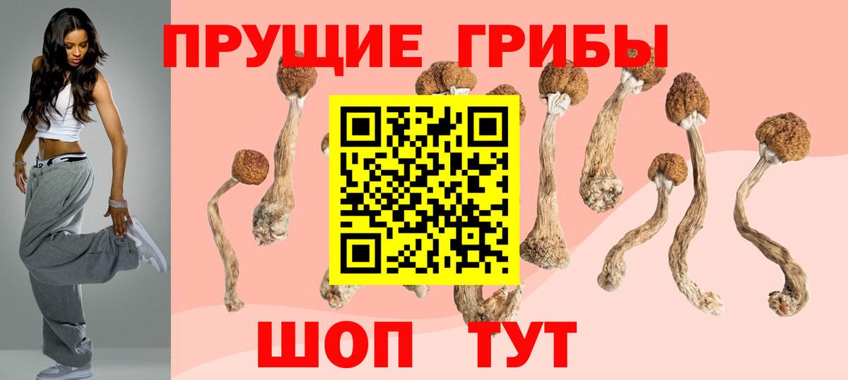 Псилоцибиновые грибы MAGIC MUSHROOMS Ливны